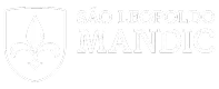 logo mandic fundo transparente-1
